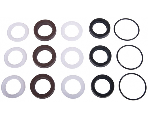 [1061114] طقم حشو انتربامب ايطالي 20 مم INTERPUMP WATER SEAL KIT285 / E3B1515-E3B2515