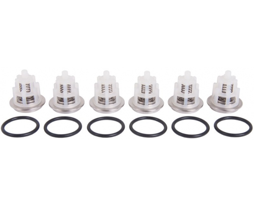 [106126] طقم بلوف انتربامب ايطالي INTERPUMP VALVE KIT169 / W2525