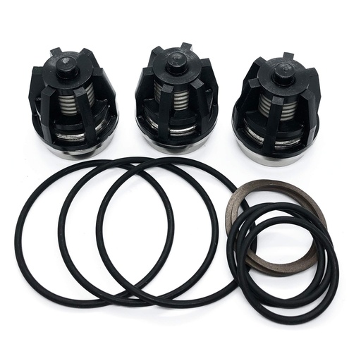 [CWIPSP00072] INTERPUMP KIT295 High Pressure Pump External Valve Kit For AB140 - AB150 - AB180