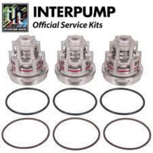 [1061220] طقم بلوف انتربامب ايطالي INTERPUMP VALVE KIT2012 / WK15