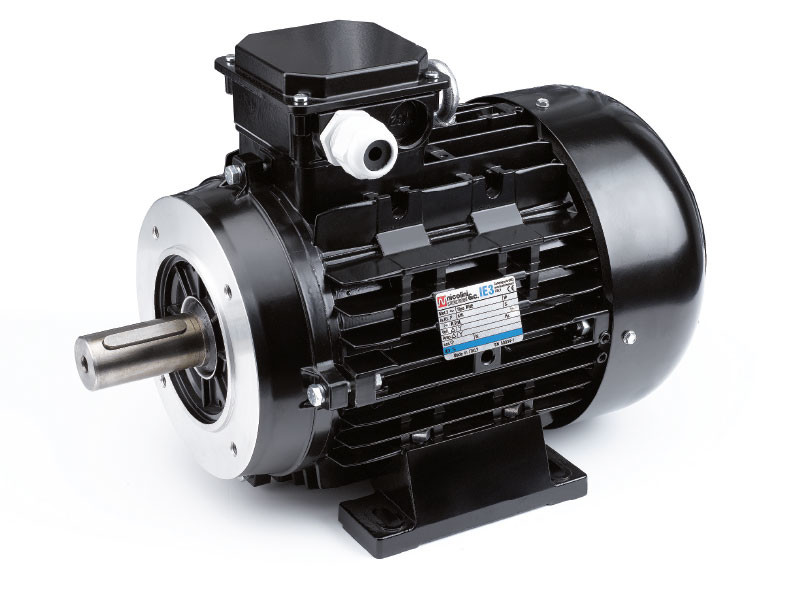 NICOLINI Male Shaft Electric Motor 4-Poles 5.5kW 7.5HP 1450Rpm 380V (Black)