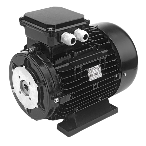 NICOLINI Hollow Shaft Electric Motor 4-Poles 11kW 15HP 1450Rpm 380V (Black)