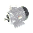 [105235] NICOLINI Male Shaft Electric Motor 4-Poles 3kW 4HP 1450Rpm 220V (Grey)