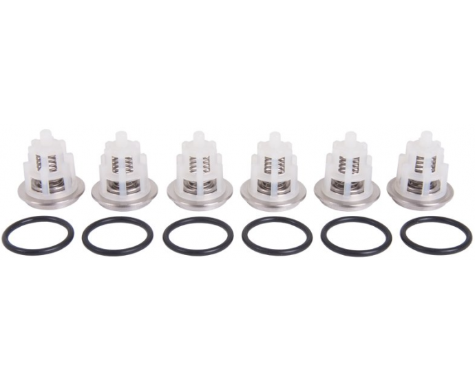 طقم بلوف انتربامب ايطالي INTERPUMP VALVE KIT169 / W2525