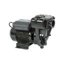 [401115] PIUSI E300 Diesel Transfer Eectric Pump 550L/Min 2 Inch 220V