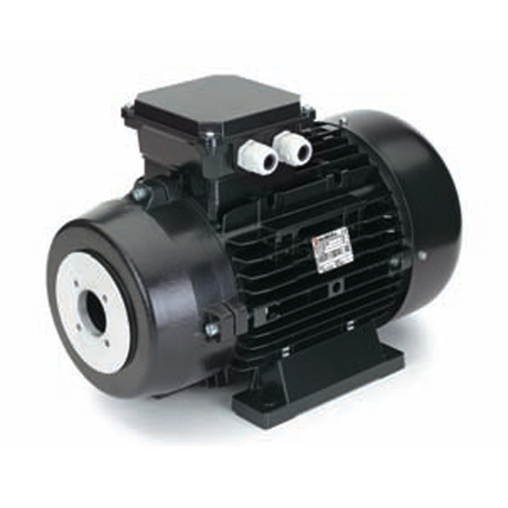 NICOLINI Hollow Shaft Electric Motor 4-Poles 15kW 20HP 1450Rpm 380V (Black)