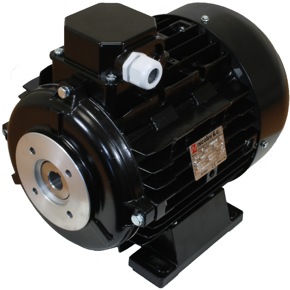 NICOLINI Hollow Shaft Electric Motor 4-Poles 5.5kW 7.5HP 1450Rpm 380V (Black)