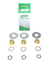 [106647] UDOR KIT141 High Pressure Pump Piston Kit For VX-B 160/130 - 130/160
