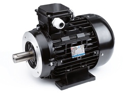 [105236] NICOLINI Male Shaft Electric Motor 4-Poles 5.5kW 7.5HP 1450Rpm 380V (Black)