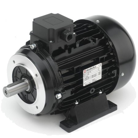 [CWWMXX00026] NICOLINI Male Shaft Electric Motor 4-Poles 5.5kW 7.5HP 1450Rpm 380V (Black)
