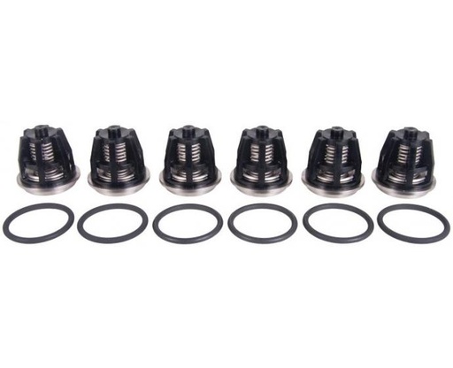 [106121] طقم بلوف انتربامب ايطالي INTERPUMP VALVE KIT43 / W8