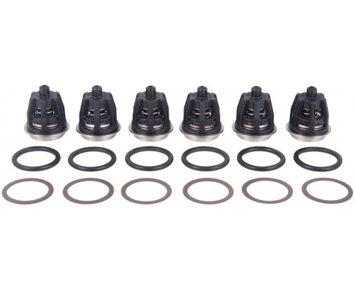 [CWIPSP00057] INTERPUMP KIT201 High Pressure Pump Valve Kit For VHT4715