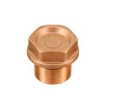 [107221] طبة نحاس انتربامب ايطالي INTERPUMP BRASS VALVE CAP / WS151-WS201