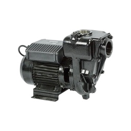[401115] PIUSI E300 Diesel Transfer Eectric Pump 550L/Min 2 Inch 220V