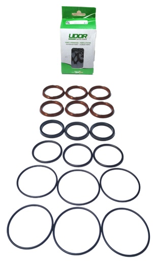 [106614] طقم حشو اودور ايطالي UDOR WATER SEAL KIT145 / VX-B 160/130